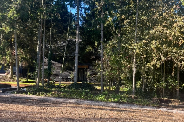 A shot of a barn within a forest.